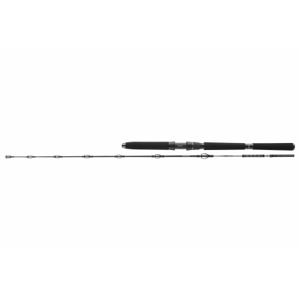 Daiwa Prút BG DEEP SEA 2,20m 30lbs