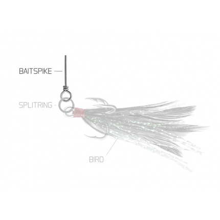 Delphin Nástrahový Tŕň Baits Spike 10 ks M/24mm/10ks