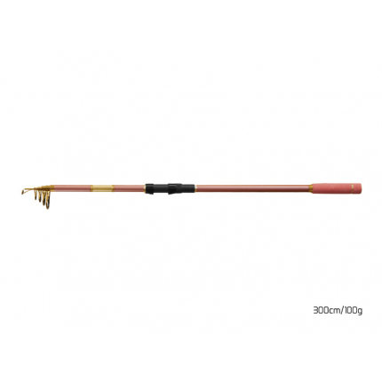 Delphin Prút Queen Tele 3 m 100 g