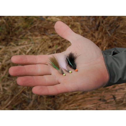 Delphin Sada Umělých Mušek FLY Wild Trout 10 ks