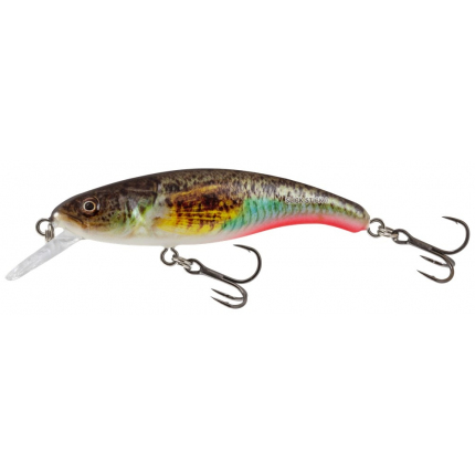 Salmo Wobler Slick Stick Floating 6cm
