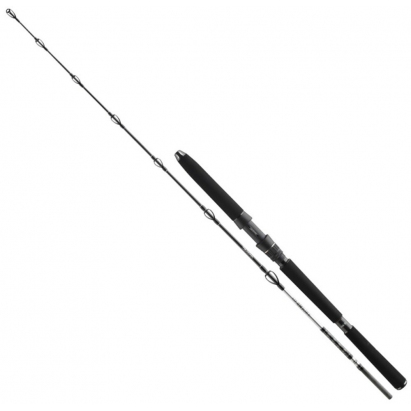 Daiwa Prút BG Deep Sea 2,20 m 30-40 lbs 2-diel Daiwa Prút BG Deep Sea 2,20 m 30-40 lbs 2-diel