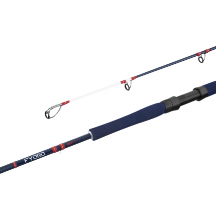 Delphin FYORD BigBOAT - 220cm/300-400g/2diely