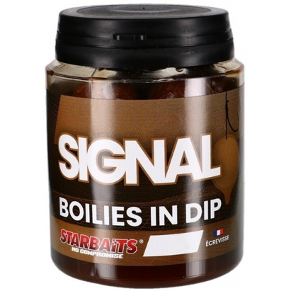 Starbaits Boilies In Dip Concept Signal 150 g Starbaits Boilies In Dip Concept Signal 150 g