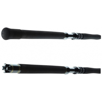 Daiwa Prut BG Big Game 1,68 m 20-30 lb