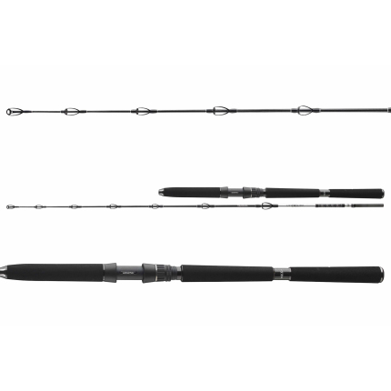 Daiwa Prút BG DEEP SEA 2,20m 30lbs