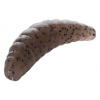Mikado nástraha marea maggot červ 42mm/korenistý 10 ks