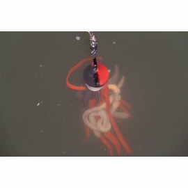 Uni Cat nástraha Clonk T-Sytom hmotnosť 120g