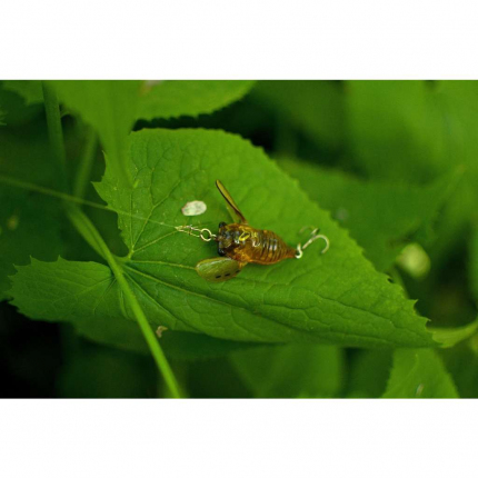 Savage Gear 3D Cicada F Green