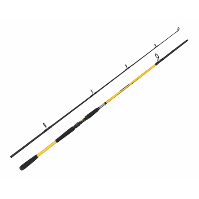 Zfish Prut Kodiak 2,40m / 100-250g