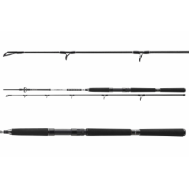 Daiwa Prút BG OFFSHORE BOAT 2,40m 150-400g