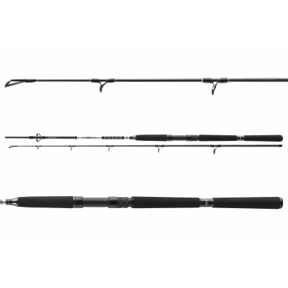 Daiwa Prút BG OFFSHORE BOAT 2,40m 150-400g