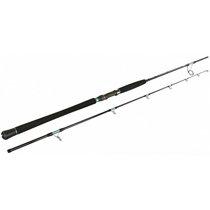 Morské prúty Sportex Magnus Mastergrade Shore Jig Cast RS-2 275cm / 80g