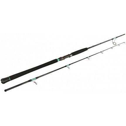 Morské prúty Sportex Magnus Mastergrade Shore Jig Cast RS-2 275cm / 80g