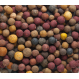 Mivardi Vnadící Boilies Rapid Multi mix 2,5kg
