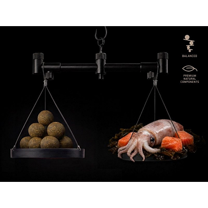 Delphin Vyvážené Boilies BreaX SeaKER Oliheň Losos 100 g