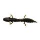 Savage Gear Gumová Nástraha Ned Salamander Floating 7,5 cm 3g Watermelon Red