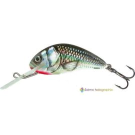 Wobler Salmo Hornet 2S HGS 2,5 cm 1,5 g