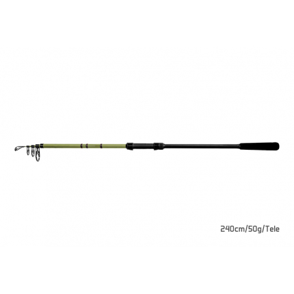 Delphin PARTISAN | 270cm / 80g / Tele
