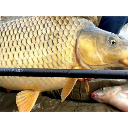 Sportex Prut Catapult CS-3 Carp 3,66 m (12 ft) 3 lb 2-díl