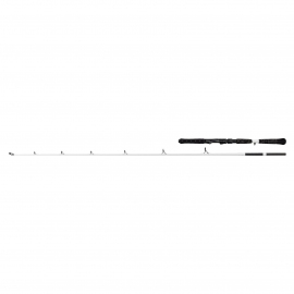 WHITE BELLY CAT 1.80M 60-150G