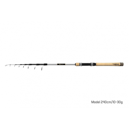 Delphin AZTEC teľa 240cm / 10-30g