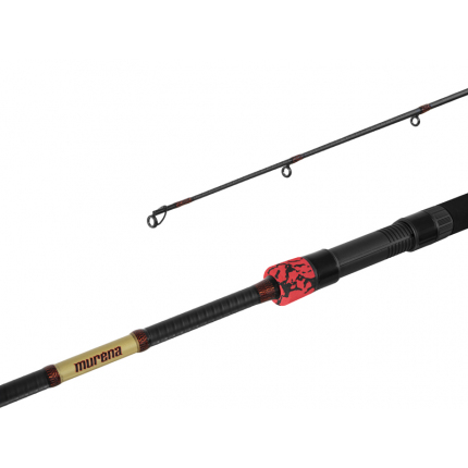 Delphin Prút Murena Power 270cm/125g/2 díly