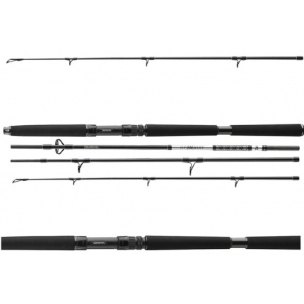 Daiwa Prút BG Travel Boat 2,25 m 150-500 g 4-diel