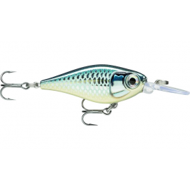 X-Light Shad 04