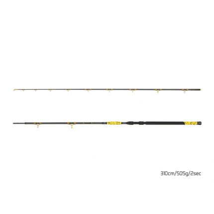 Delphin sumcový prút HAZARD BxG 310cm/505g/2 díly