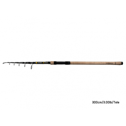 Delphin ARMADA NX TRAVEL BlackWay Cork 300cm/3.00lbs