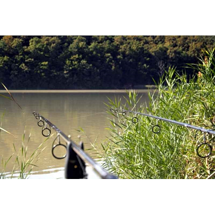 Sportex Kaprový prút Revolt Carp 2-diel 365cm / 3,00lbs