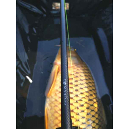 Sportex Prut Catapult CS-3 Carp 3,66 m (12 ft) 3 lb 2-díl