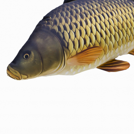Gaby vankúš Kapor šupináč 100cm