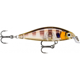 X- Light Minnow 05