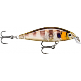 X- Light Minnow 05