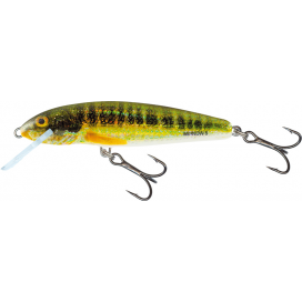 Salmo wobler Minnow Floating Holo Real Minnow 6cm 4g  