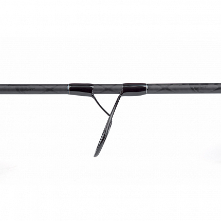 Extracta Prut Catfish 10 ft 4,5 lb