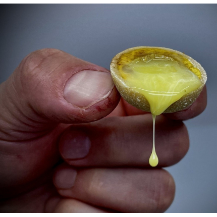 LK Baits Nutrigo Extra Cheese