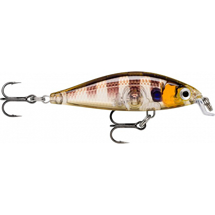 X- Light Minnow 05