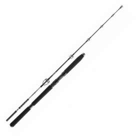 Daiwa Prút BG Sea Jigger 1,70m 150-400gr