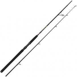 Penn Prút Wrath II Spinning Rod 2,44m 60-120g 2-diel