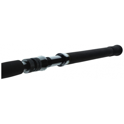 Daiwa Prut BG Big Game 1,68 m 20-30 lb