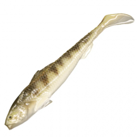 Qubi Lures gumová nástraha Sardynka Natural Perch 7cm 4ks