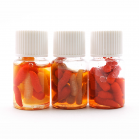 Enterprise nástrahy v dipe - Múčný červ Richworth Tutti Frutti 20ks