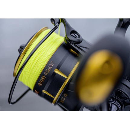 Black Cat Navijak Catextreme Big Cat 105