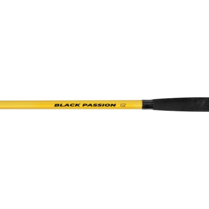 Black Cat Prút Passion G2 Spin 2,4 m 50-200 g