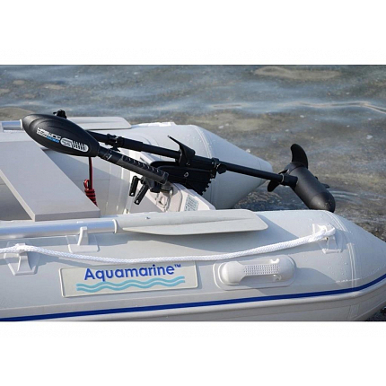 Haswing Elektromotor 55 Lb