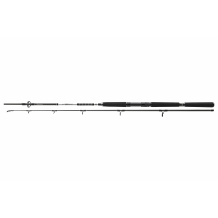 Daiwa Prút BG OFFSHORE BOAT 2,40m 150-400g