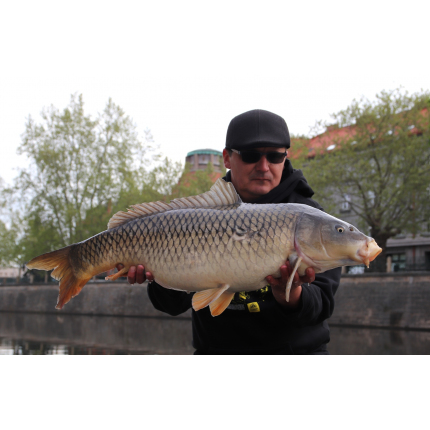 Mivardi Rapid Easy Catch - Anglická Jahoda 3300g